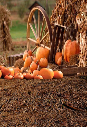 Fall Farm Pumpkin Wheel Ground Wallpaper