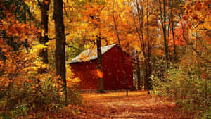 Fall Farmhouse 1920 X 1080 Wallpaper Wallpaper