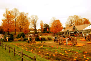 Fall Farmhouse Amidst Colorful Foliage Wallpaper