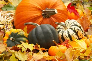 Fall Festival Celebrations In Full Swing Wallpaper