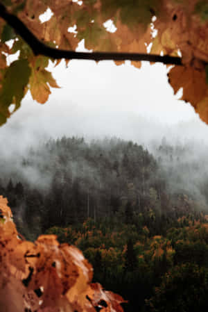 Fall Fog Over A Serene Landscape Wallpaper