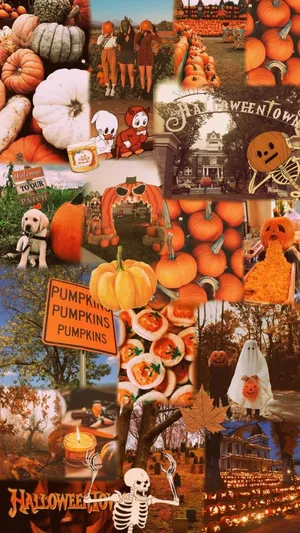 Fall Halloween Collage Aesthetic Wallpaper