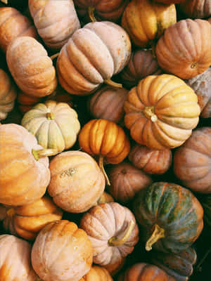 Fall Harvest: A Season Of Abundance Wallpaper