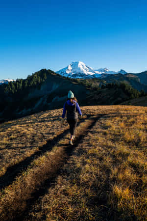 Fall Hikes - Discover The Beauty Of Autumn Wallpaper