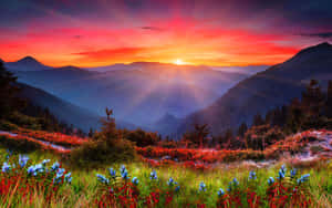 Fall Mountain During Sunset Wallpaper