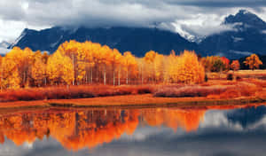 Fall Mountain With White Clouds Wallpaper