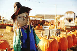 Fall Scarecrow Amidst Vibrant Autumn Foliage Wallpaper