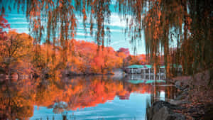 Fall Scenes Lake House Wallpaper