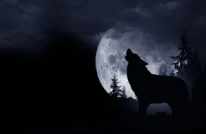 Fall Sunrise On Mountain Range Wallpaper