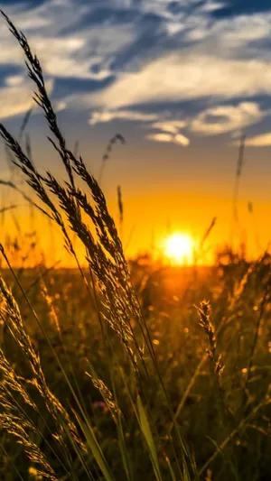 Fall Sunset: A Breathtaking View Of Autumn Splendor Wallpaper