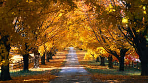 Fall Town Scenic Beauty Wallpaper