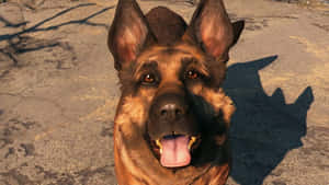 Fallout 4 Dogmeat - Dogmeat Exploring The Post-apocalyptic Wasteland Wallpaper