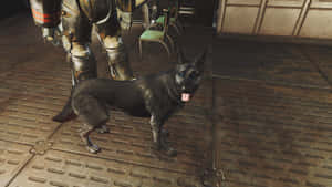 Fallout 4 Dogmeat: The Canine Companion You Can Rely On Wallpaper