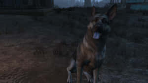 Fallout 4's Loyal Companion, Dogmeat, At Attention In The Wasteland Wallpaper