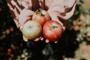 Family Enjoying Apple Picking In A Lush Orchard Wallpaper