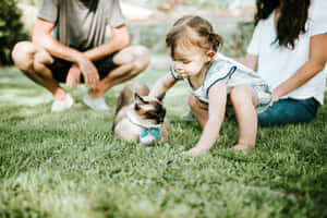 Family Outdoor Playtime With Pet Cat Wallpaper