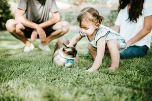 Family Outdoor Playtime With Pet Cat Wallpaper