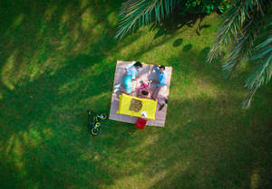 Family Picnic On Grass Wallpaper