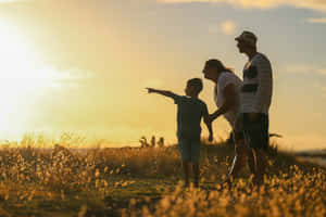 Family Sunset Field Exploration Wallpaper