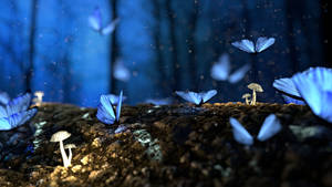 Fantastic Blue Butterfly Aesthetic Wallpaper