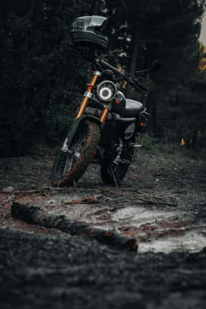 Fantic Motorcyclein Forest Wallpaper