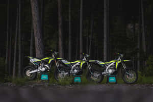 Fantic Motorcyclesin Forest Wallpaper