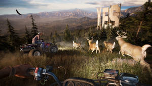 Far Cry 5 Mountain Atv With Deer Wallpaper