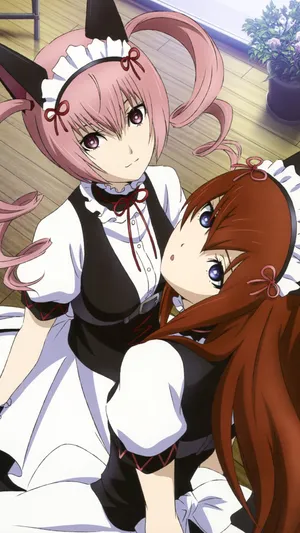 Faris Nyannyan Striking A Pose Wallpaper