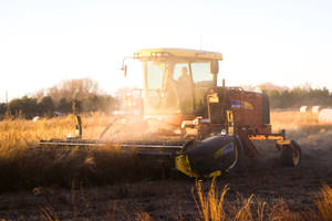 Farmer Tractor Sunny Day Wallpaper