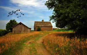 Farmhouse Garden Desktop Wallpaper