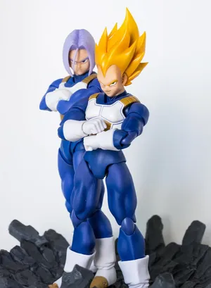 Father-son Moment With Vegeta And Trunks Wallpaper