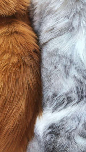 Faux Fur Fabric Textures Wallpaper