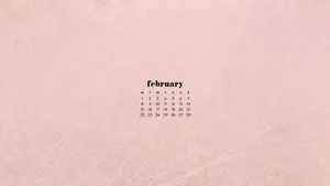 February Minimalist Calendar Aesthetic Wallpaper