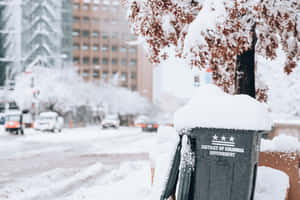 Federal District Of Columbia Wallpaper