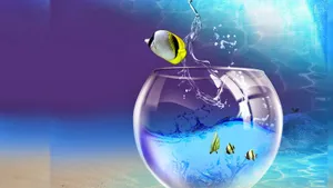 Feel Beautiful And Healthy With Products Designed For Your Wellness.