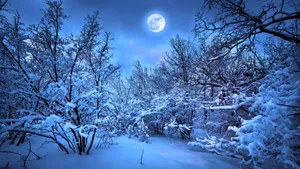 Feel The Beauty Of Winter Wallpaper