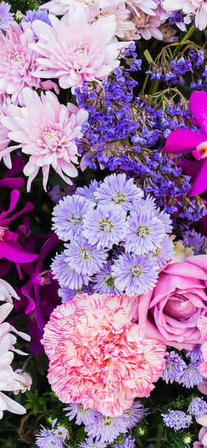 Feel The Blooming Beauty Of This Colorful Flower Iphone Wallpaper. Wallpaper