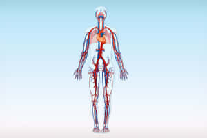 Feel The Blue Veins Of Calmness And Serenity Wallpaper