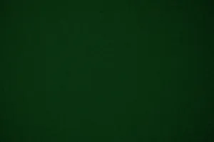 Feel The Freshness Of Nature In A Stunning Forest Green View Wallpaper