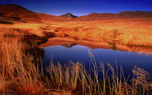 Feel The Majestic Beauty Of African Landscapes. Wallpaper