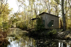 Feel The Mysticism Of The Blue Bayou Wallpaper