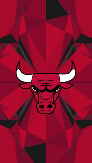 Feel The Pride Of The Chicago Bulls Community Wallpaper