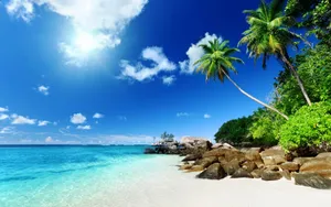 Feel The Tropical Paradise Of A Caribbean Beach Wallpaper