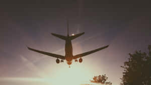 Feeling The Thrill Of The Sky In A Cool Plane Wallpaper