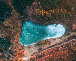 Fehér Úti Tó Lake Hungary Wallpaper