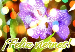 Feliz Viernes Floral Greeting Wallpaper