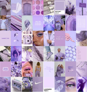 Feminine Aesthetic Purple Collage Wallpaper