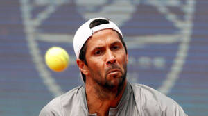 Fernando Verdasco And Ball Wallpaper