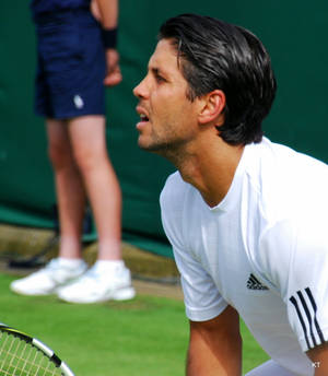 Fernando Verdasco Closeup Wallpaper