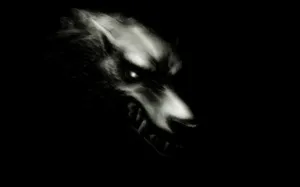 Ferocious Angry Wolf In The Wild Wallpaper
